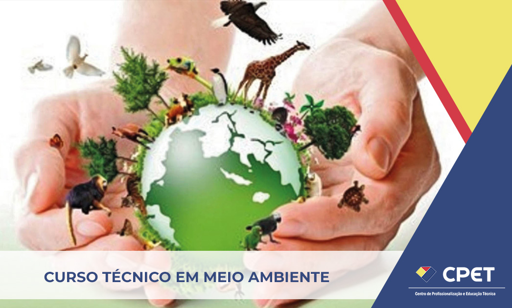 técnico em meio ambiente