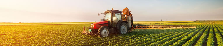 CURSO TÉCNICO EM AGRONEGÓCIO