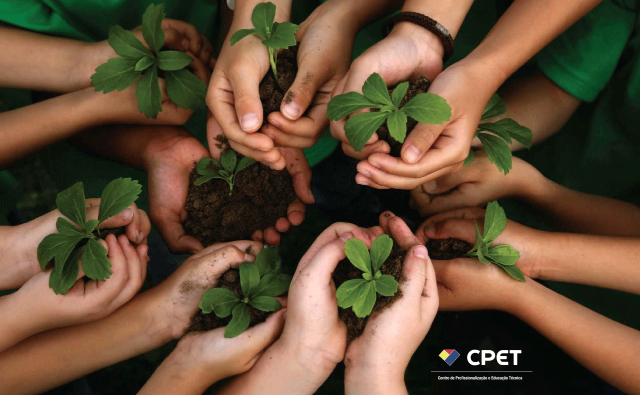 Mercado de trabalho para tecnico em meio ambiente