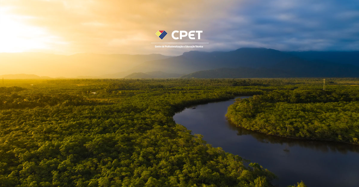 O curso tecnico em Meio Ambiente do cpet tem o como principal objetivo formar profissionais que sejam uteis no mercado de trabalho.